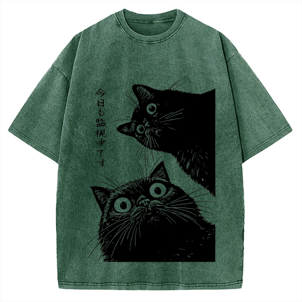 The Cat is Watching Today Vintage Washed T-shirt