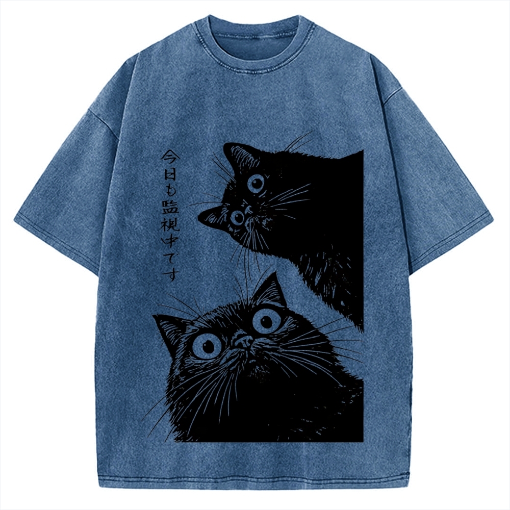 The Cat is Watching Today Vintage Washed T-shirt