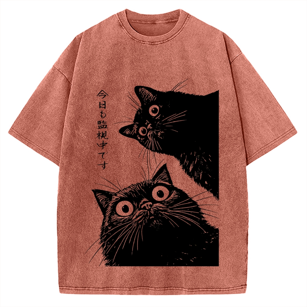 The Cat is Watching Today Vintage Washed T-shirt