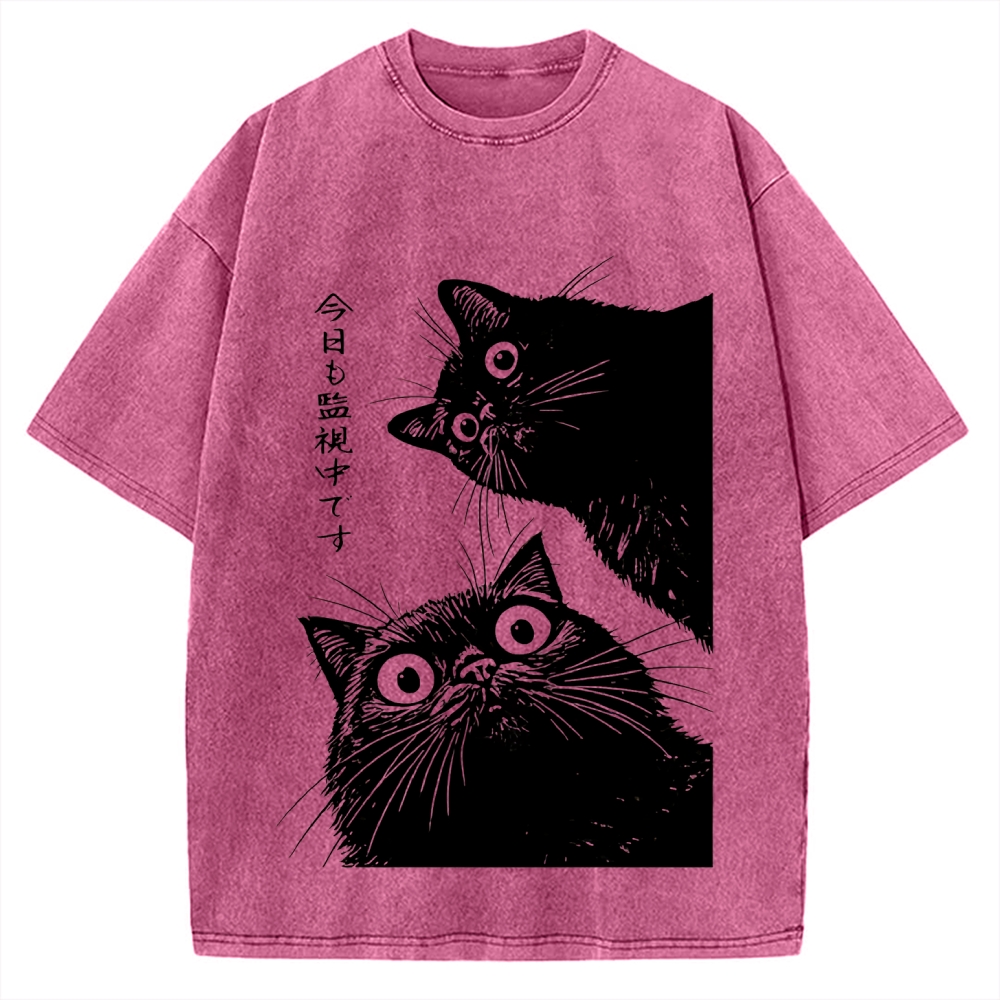 The Cat is Watching Today Vintage Washed T-shirt