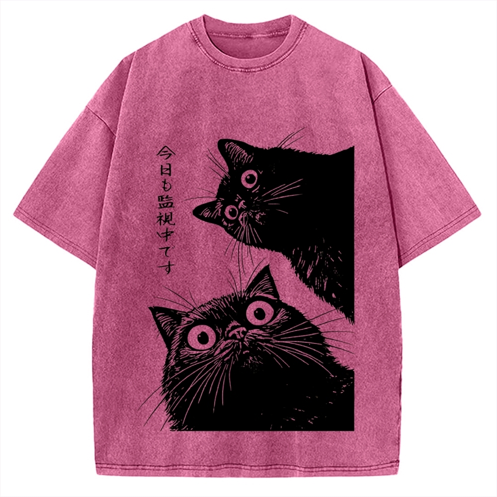 The Cat is Watching Today Vintage Washed T-shirt