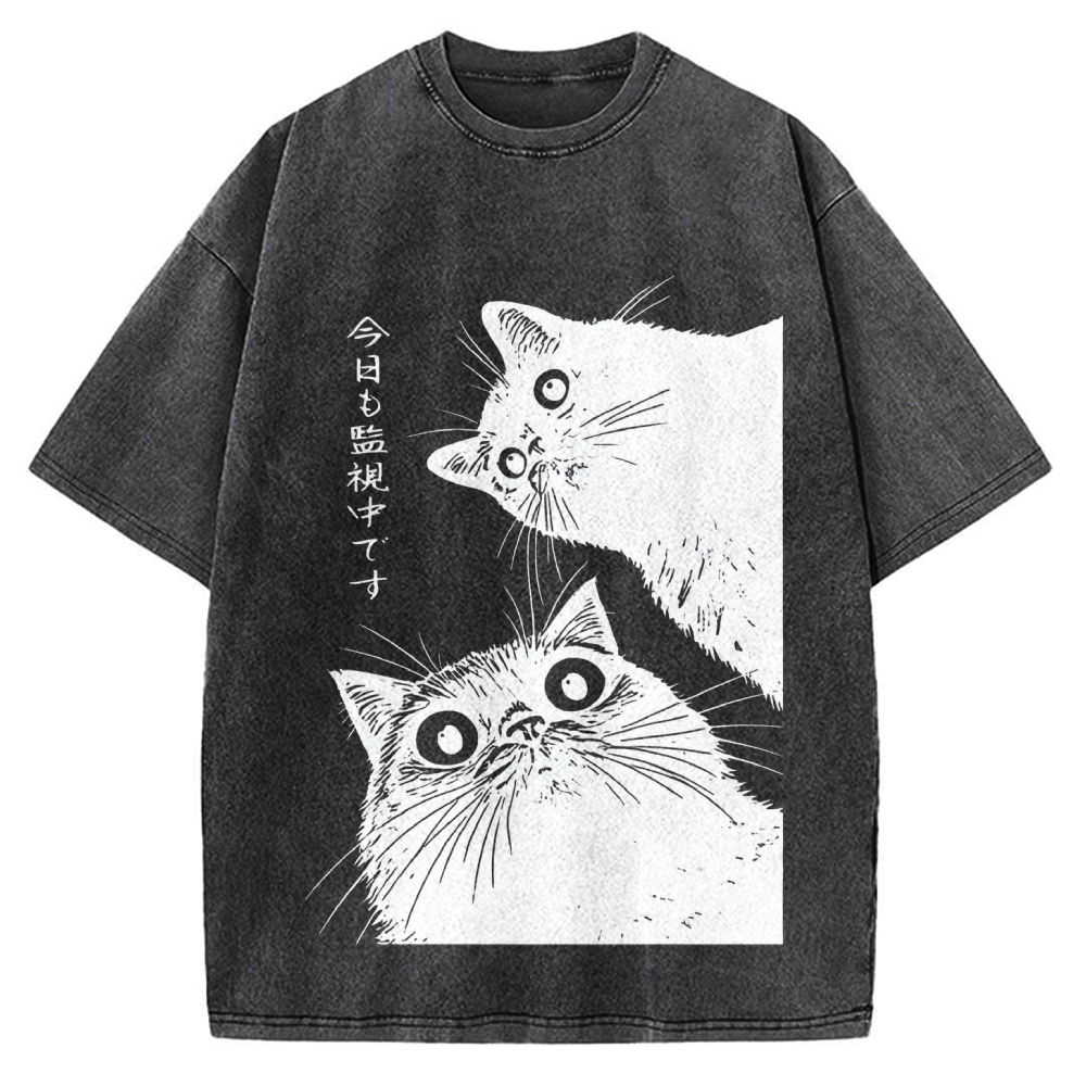 The Cat is Watching Today Vintage Washed T-shirt