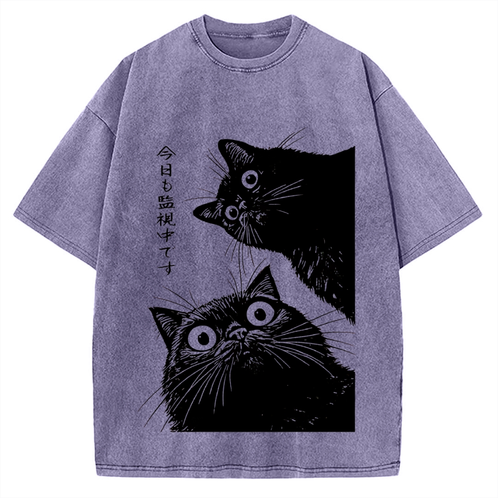 The Cat is Watching Today Vintage Washed T-shirt