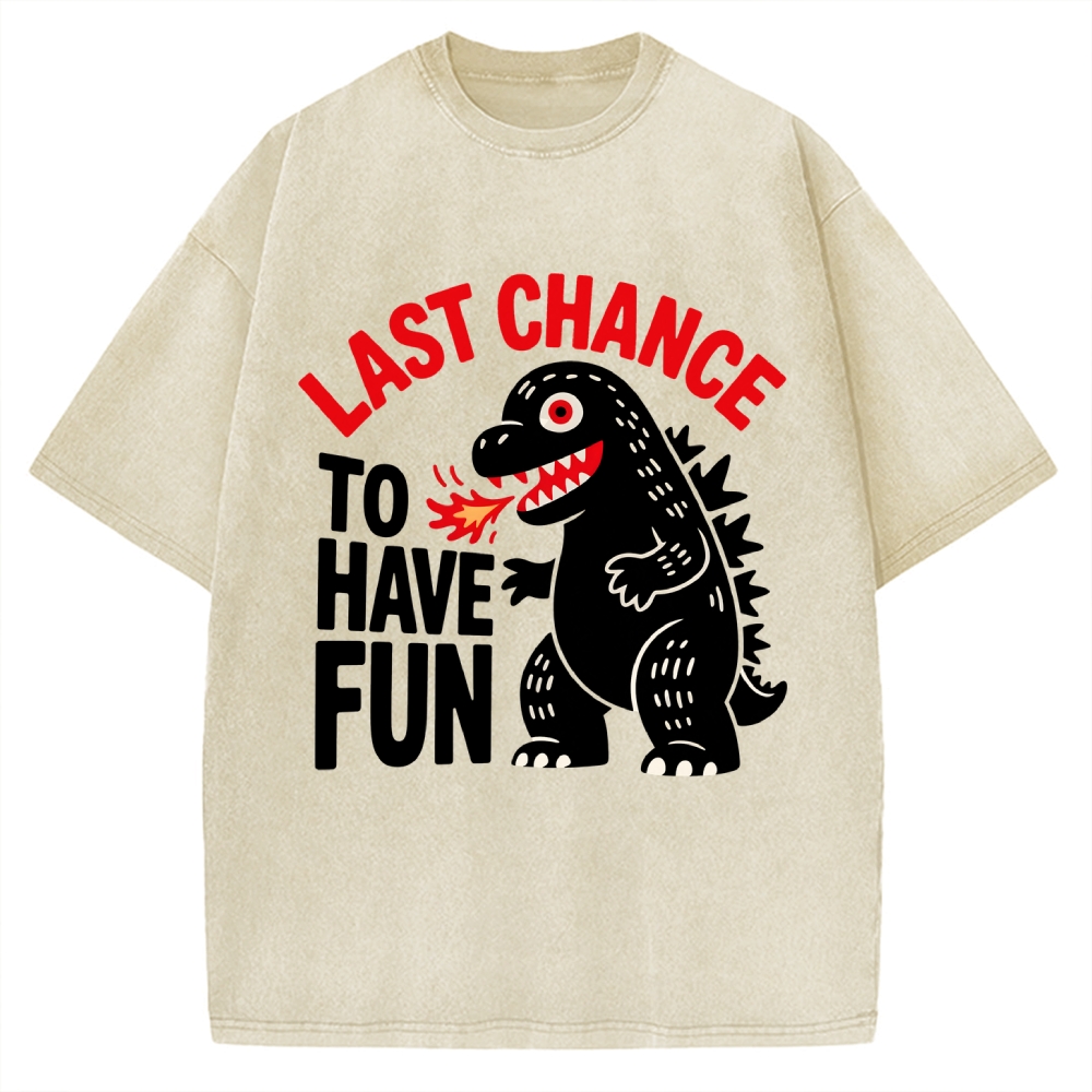 Last Chance Vintage Washed T-shirt 2508001758