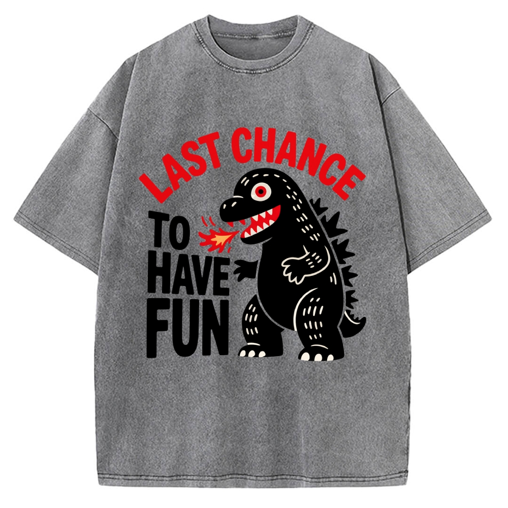Last Chance Vintage Washed T-shirt 2508001758