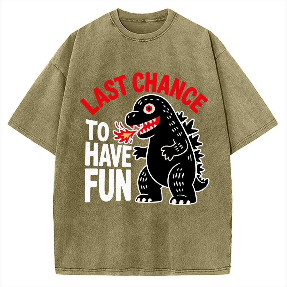 Last Chance Vintage Washed T-shirt 2508001758