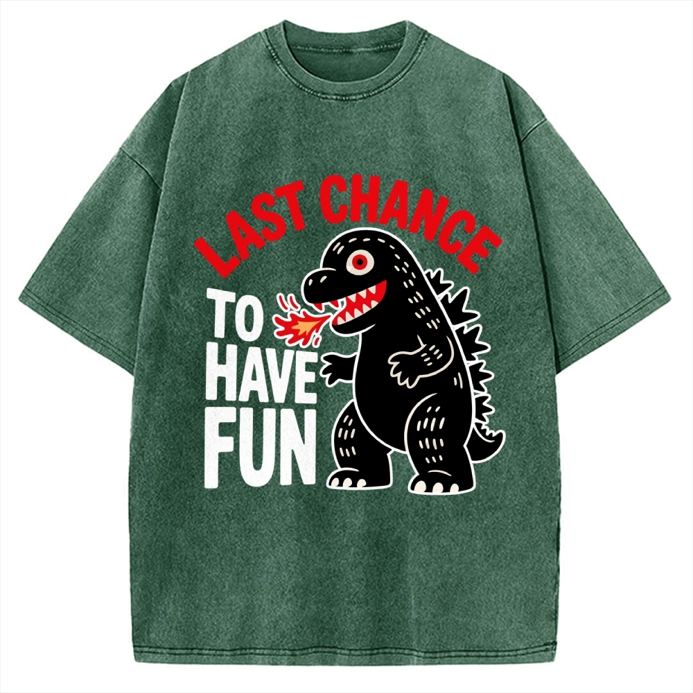 Last Chance Vintage Washed T-shirt 2508001758