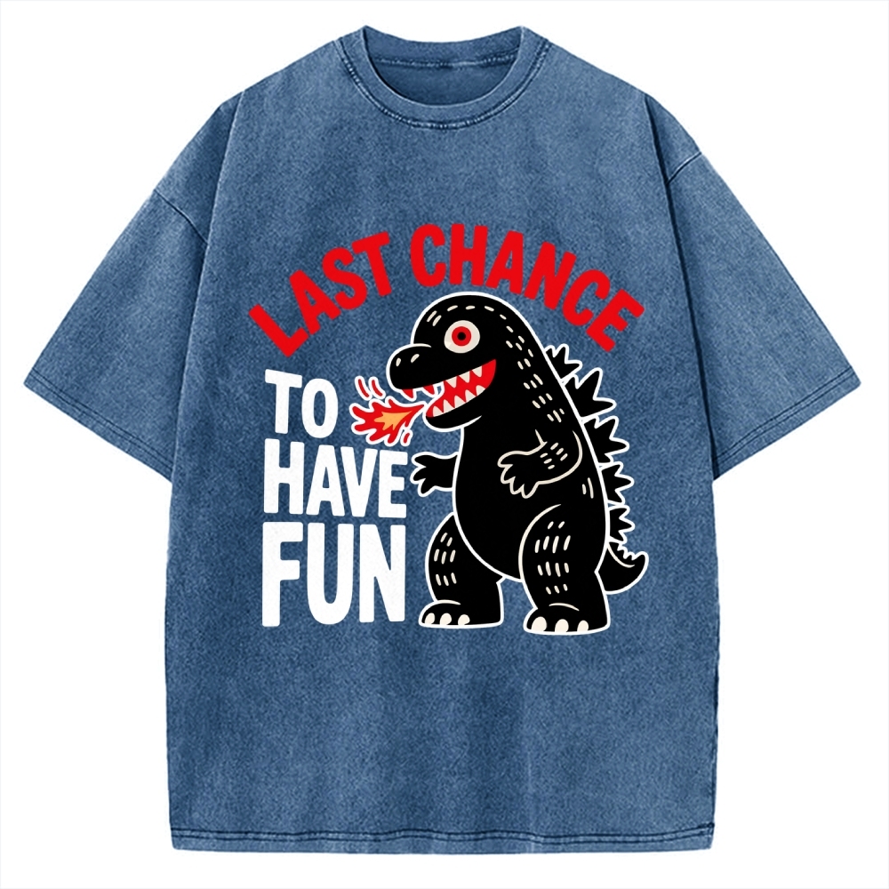 Last Chance Vintage Washed T-shirt 2508001758