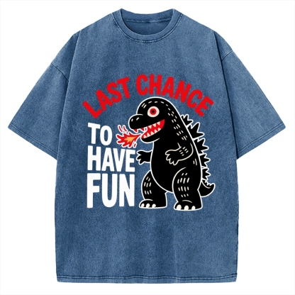 Last Chance Vintage Washed T-shirt 2508001758