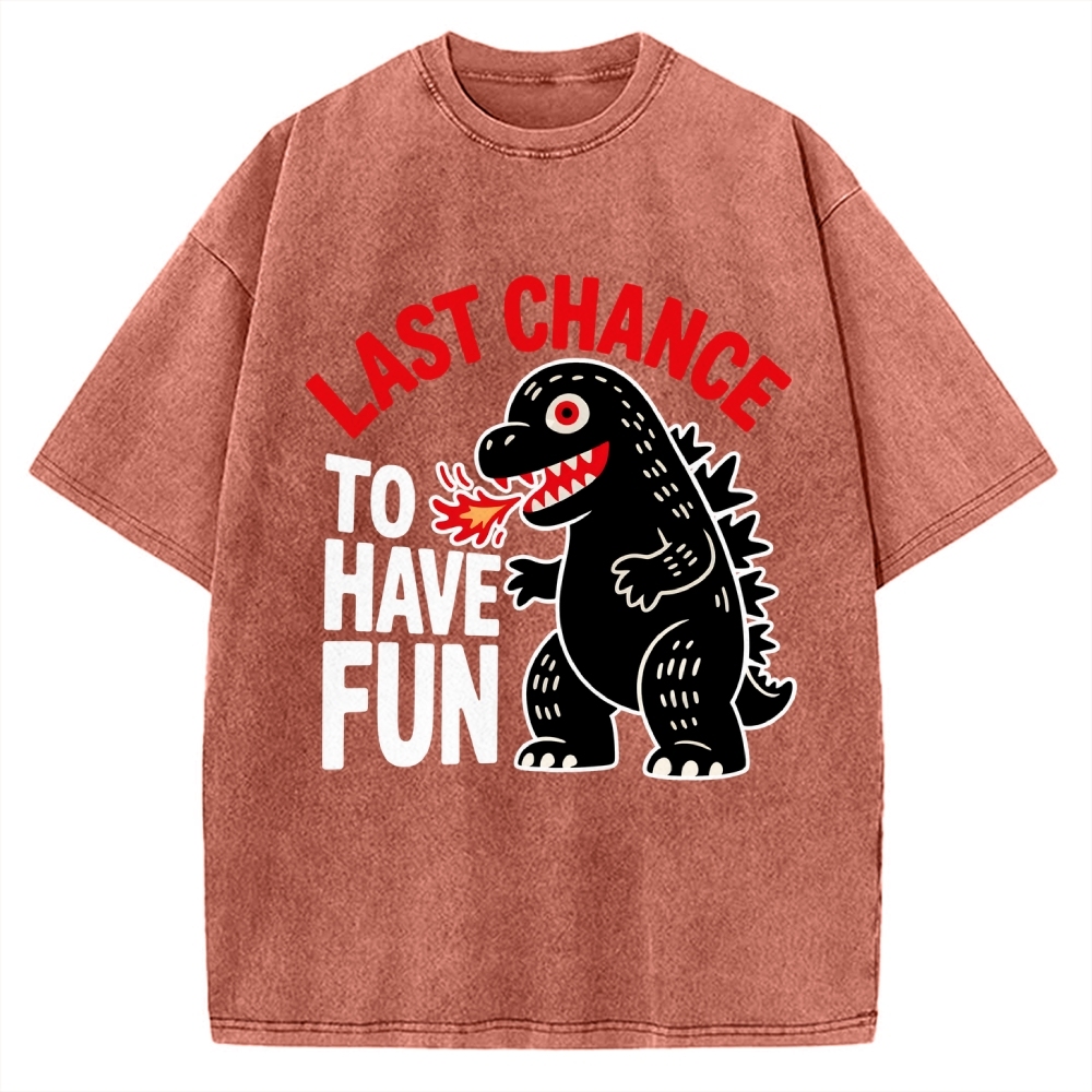 Last Chance Vintage Washed T-shirt 2508001758