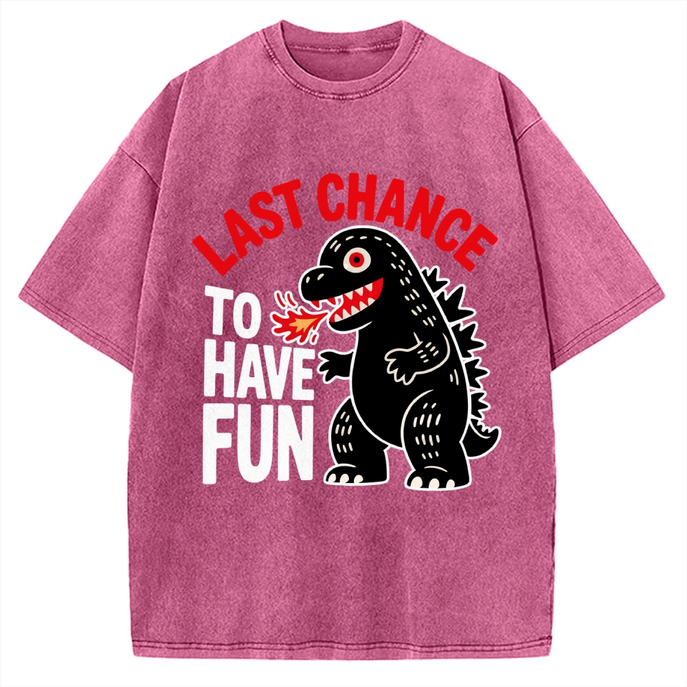 Last Chance Vintage Washed T-shirt 2508001758