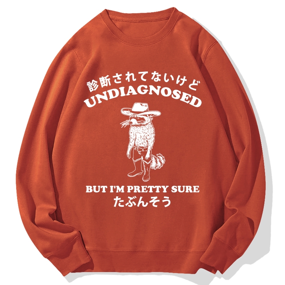 Undiagnosed But I'm Pretty Sure Cotton Sweatshirt