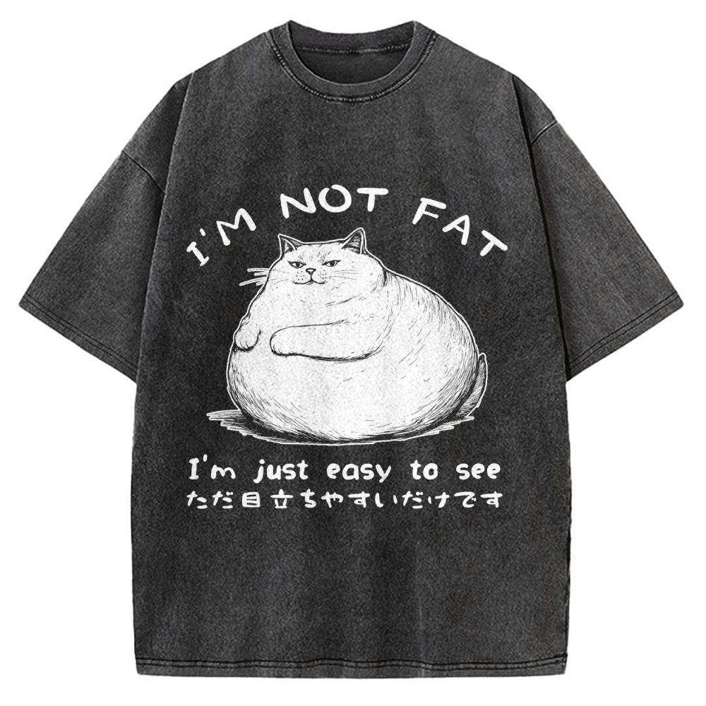 Funny Cat Fat Just Easy To See Vintage Washed T-shirt