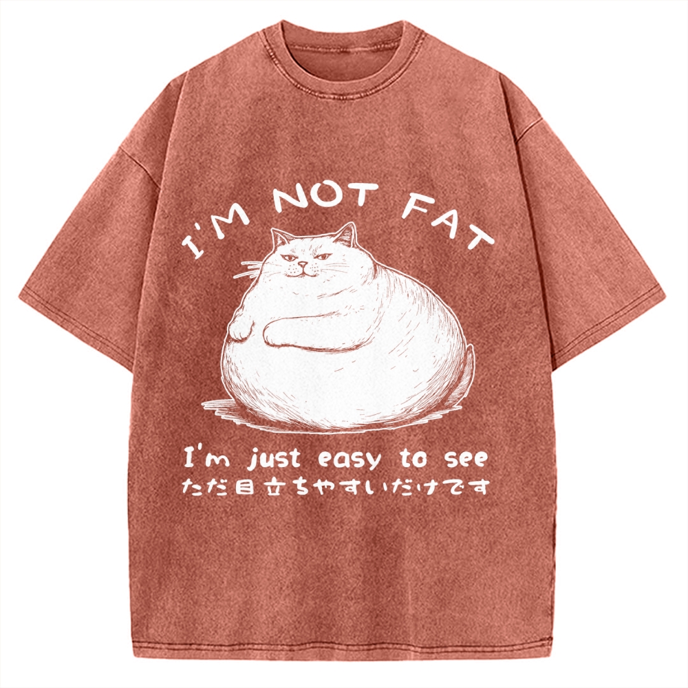 Funny Cat Fat Just Easy To See Vintage Washed T-shirt