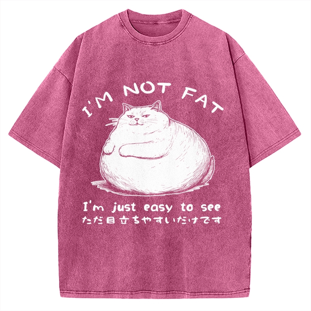 Funny Cat Fat Just Easy To See Vintage Washed T-shirt