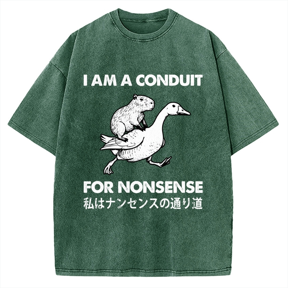Tokyo-Assassin For Nonsense Vintage Washed T-shirt