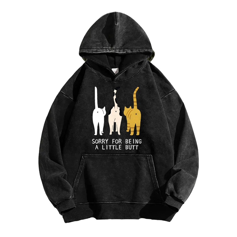 Cat's Butt Funny Vintage Washed Hoodie