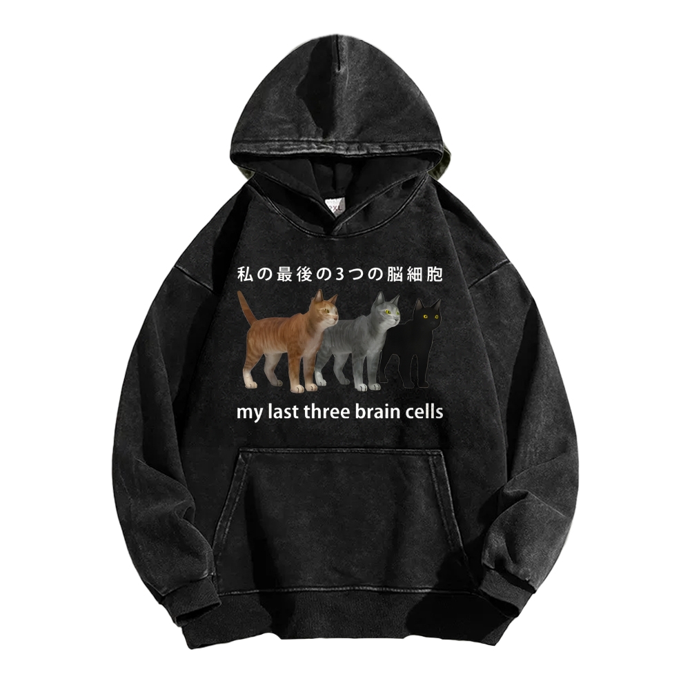 Last three brain cells Cats Vintage Washed Hoodie