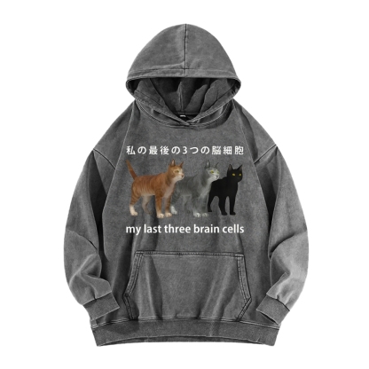 Last three brain cells Cats Vintage Washed Hoodie