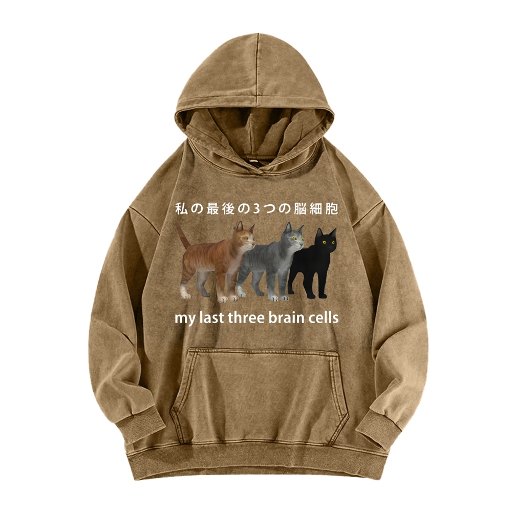 Last three brain cells Cats Vintage Washed Hoodie