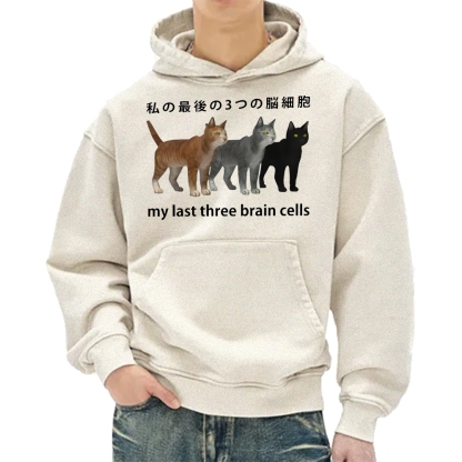 Last three brain cells Cats Vintage Washed Hoodie