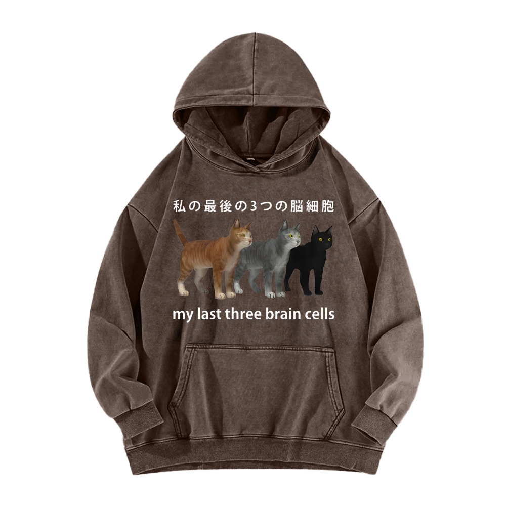 Last three brain cells Cats Vintage Washed Hoodie