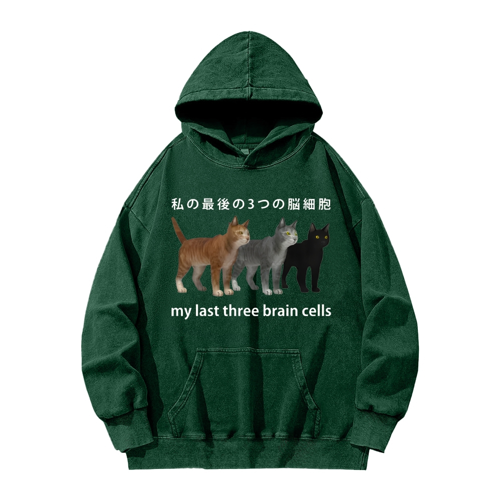 Last three brain cells Cats Vintage Washed Hoodie