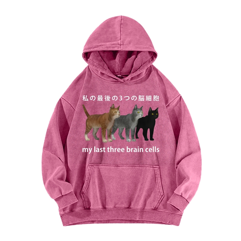 Last three brain cells Cats Vintage Washed Hoodie