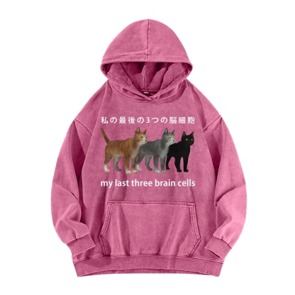 Last three brain cells Cats Vintage Washed Hoodie