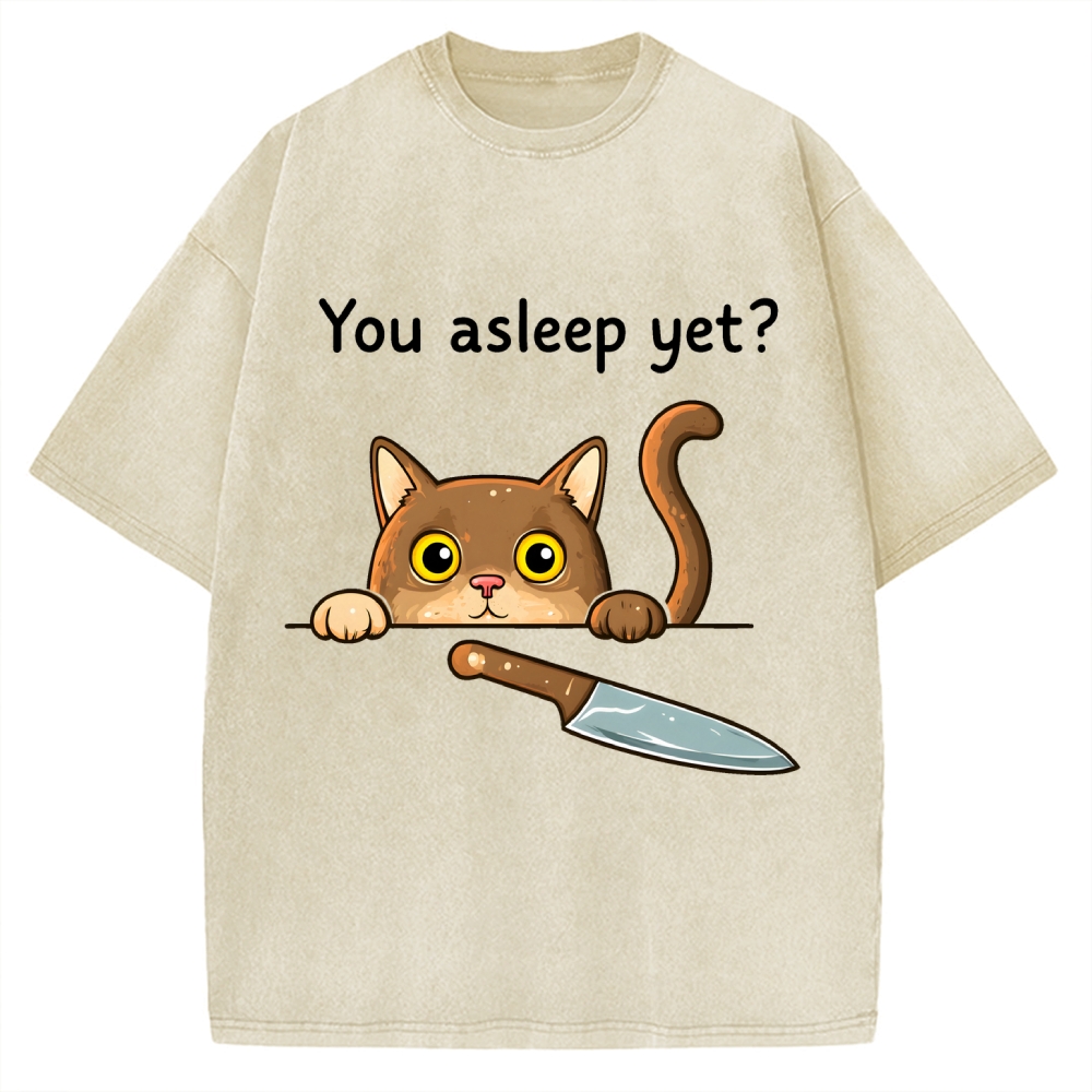 Cat With Murderous Intent Vintage Washed T-shirt