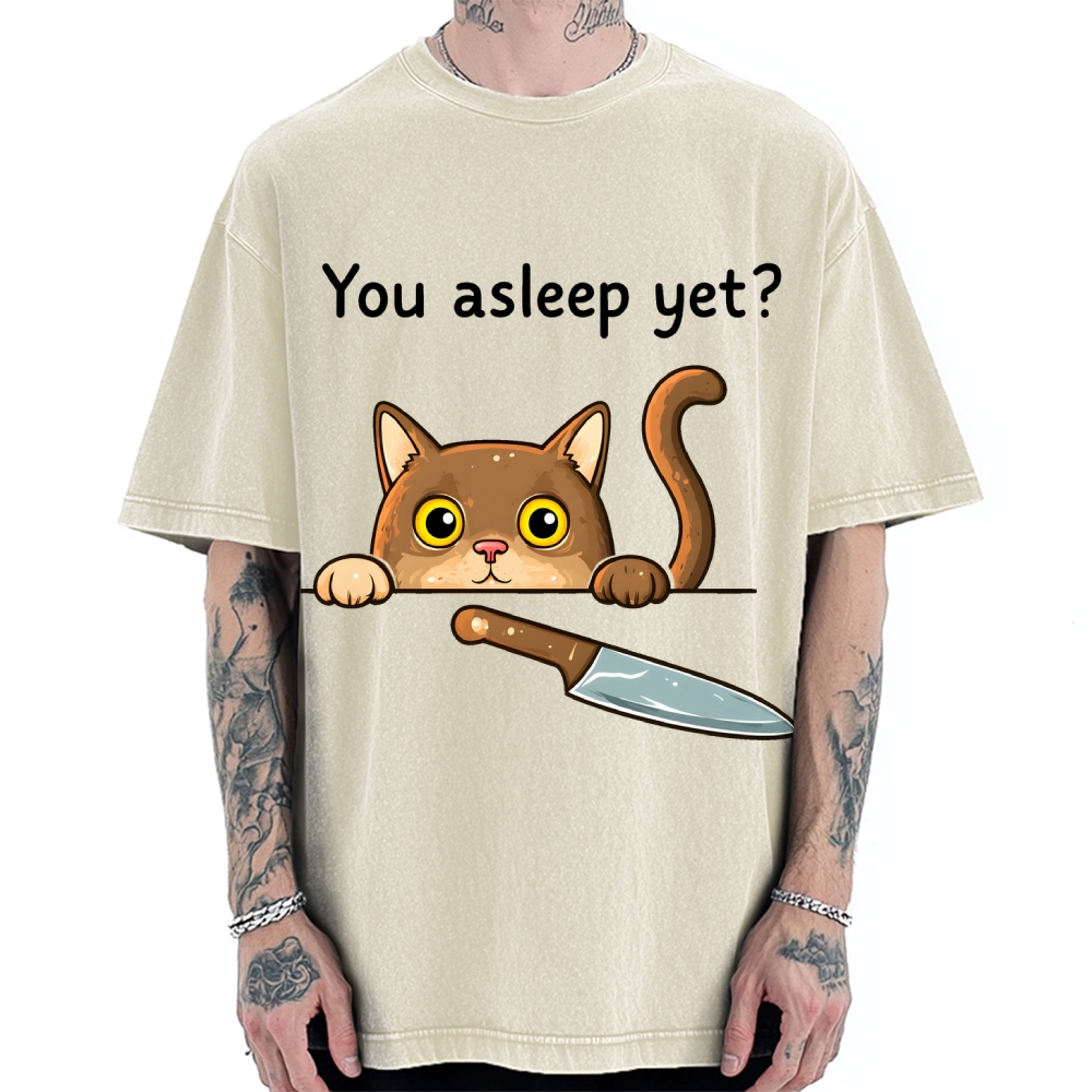 Cat With Murderous Intent Vintage Washed T-shirt