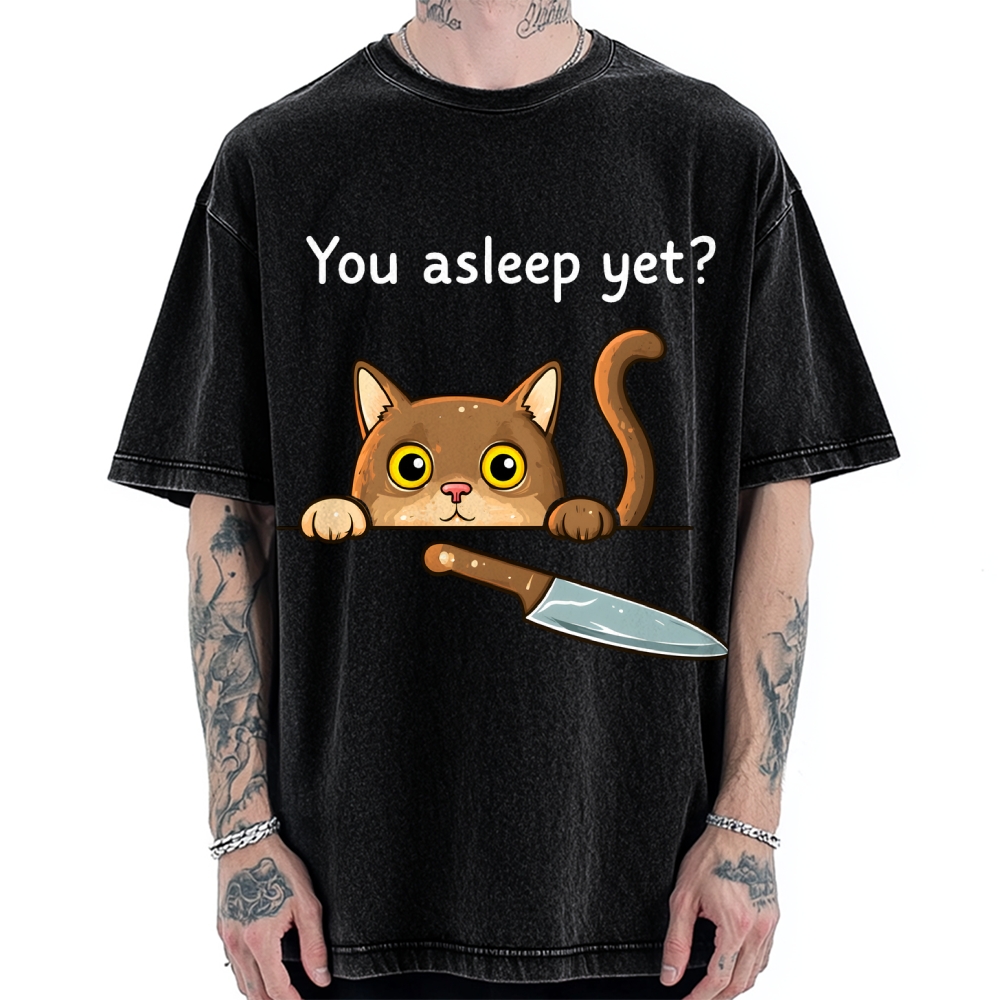 Cat With Murderous Intent Vintage Washed T-shirt