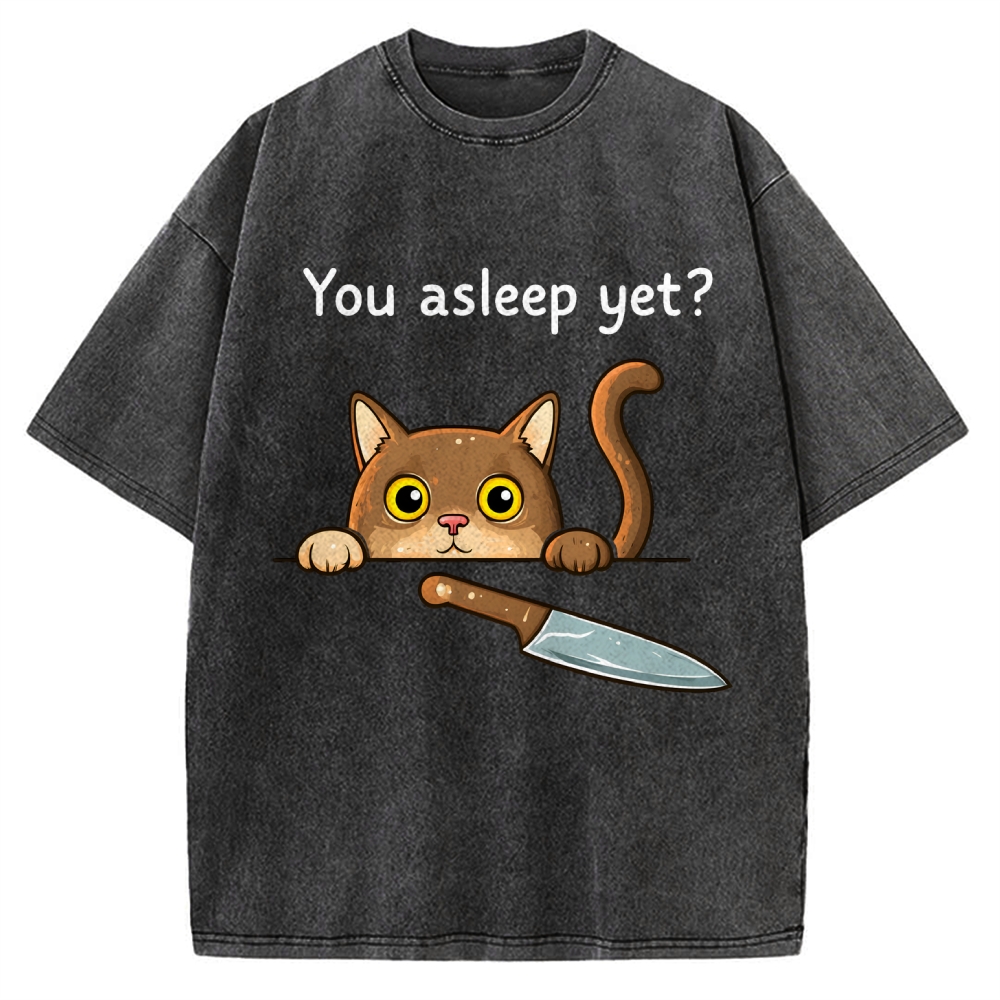 Cat With Murderous Intent Vintage Washed T-shirt