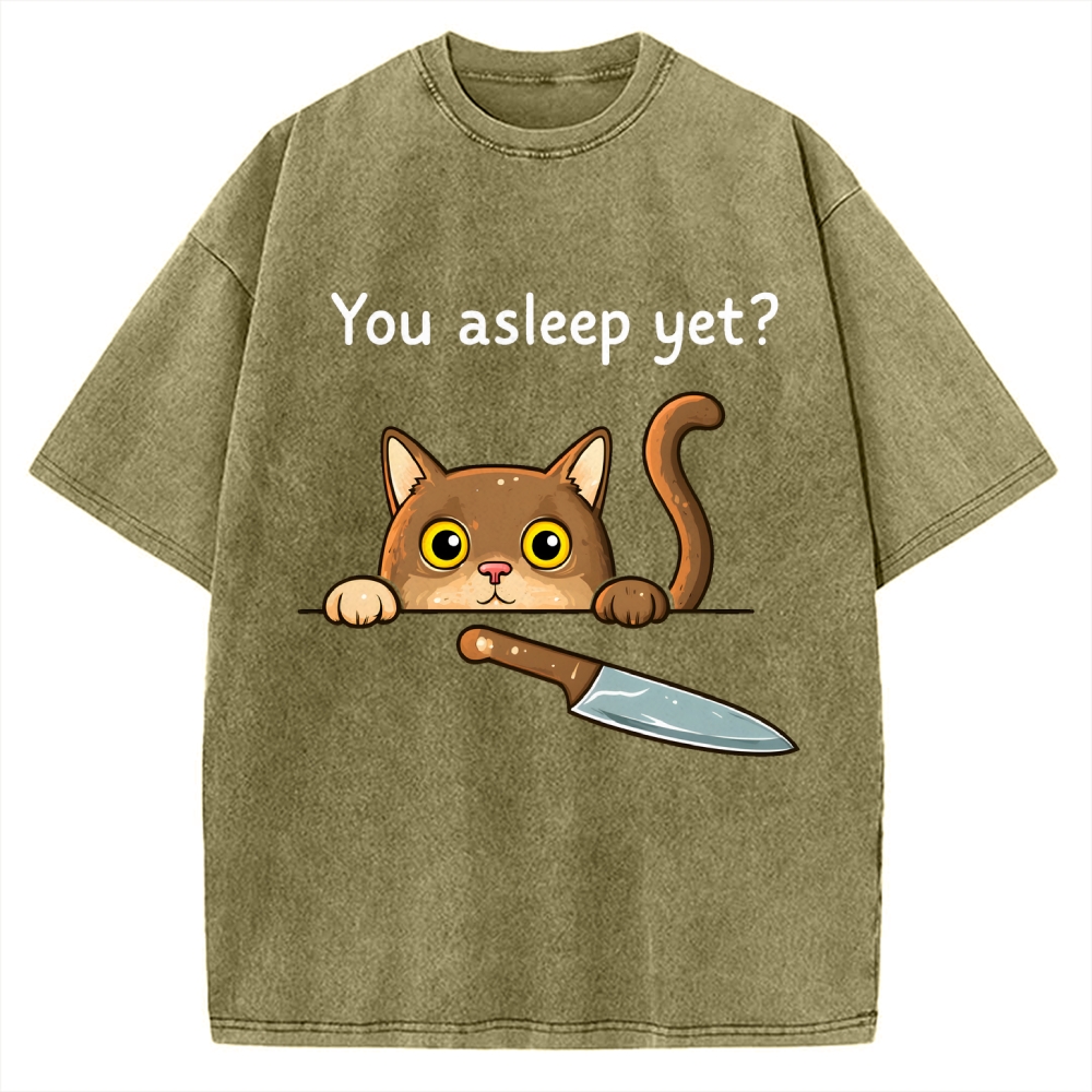 Cat With Murderous Intent Vintage Washed T-shirt