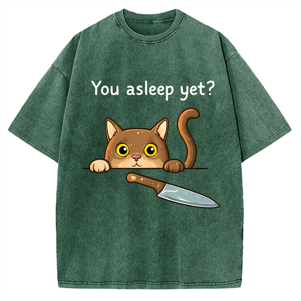 Cat With Murderous Intent Vintage Washed T-shirt