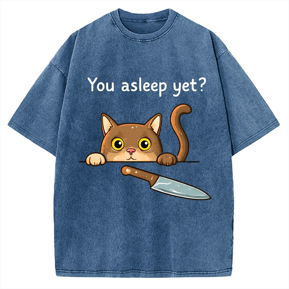 Cat With Murderous Intent Vintage Washed T-shirt