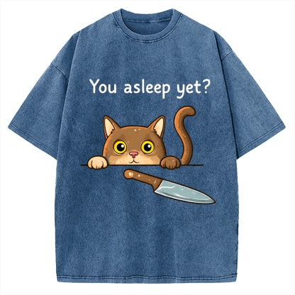 Cat With Murderous Intent Vintage Washed T-shirt