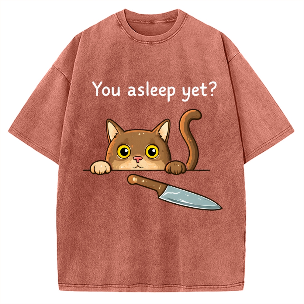Cat With Murderous Intent Vintage Washed T-shirt