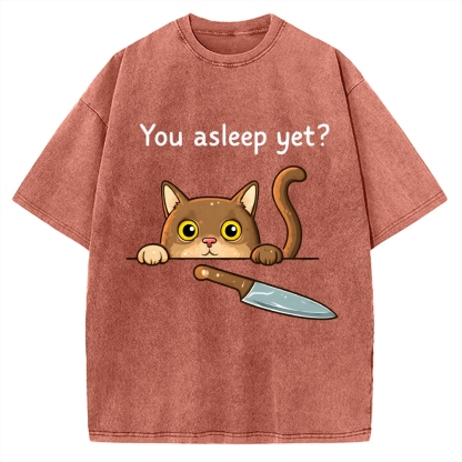 Cat With Murderous Intent Vintage Washed T-shirt