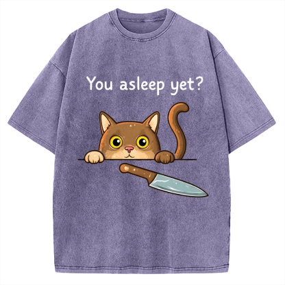 Cat With Murderous Intent Vintage Washed T-shirt