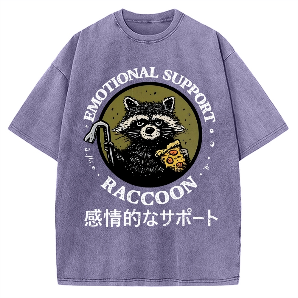Emotional Support Raccoon Vintage Washed T-shirt