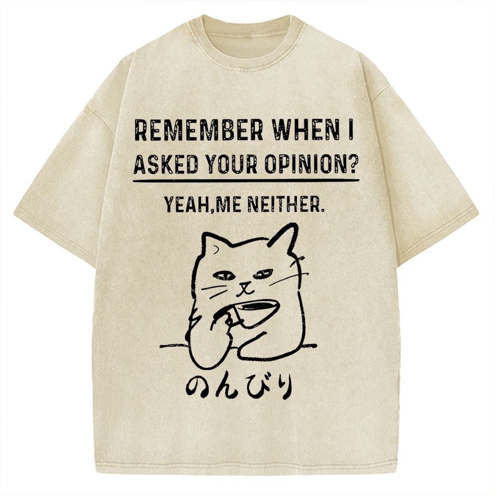 Cats Don't Accept Opinions Vintage Washed T-shirt