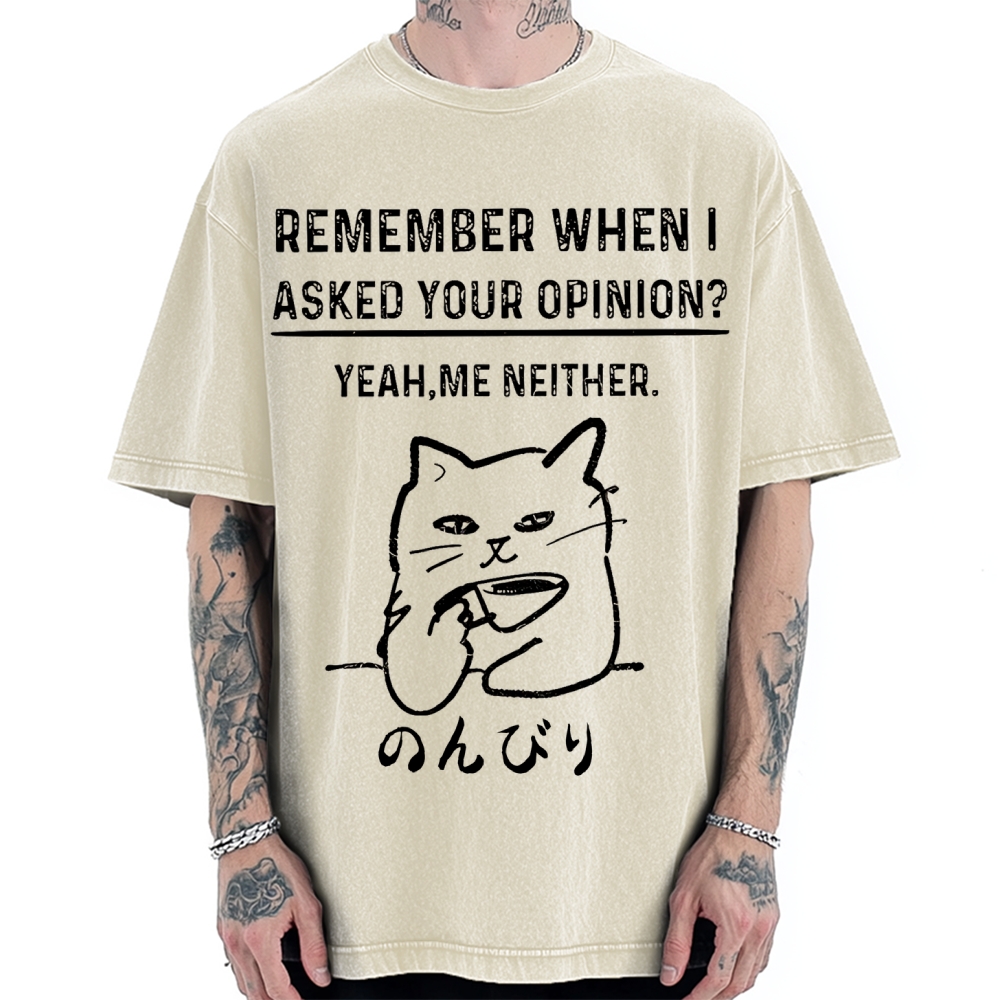 Cats Don't Accept Opinions Vintage Washed T-shirt