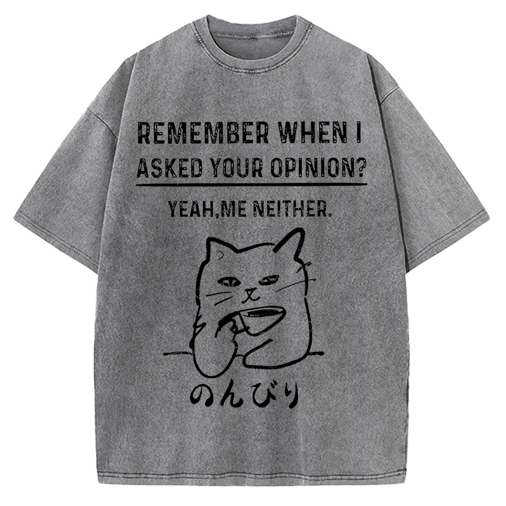 Cats Don't Accept Opinions Vintage Washed T-shirt