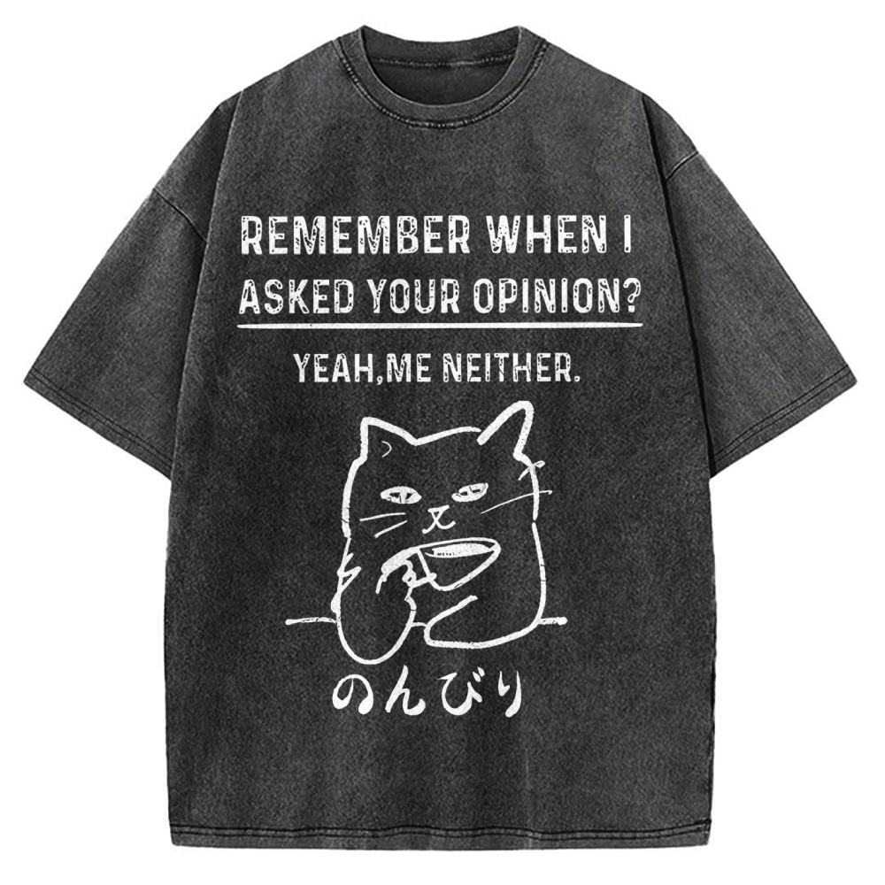 Cats Don't Accept Opinions Vintage Washed T-shirt