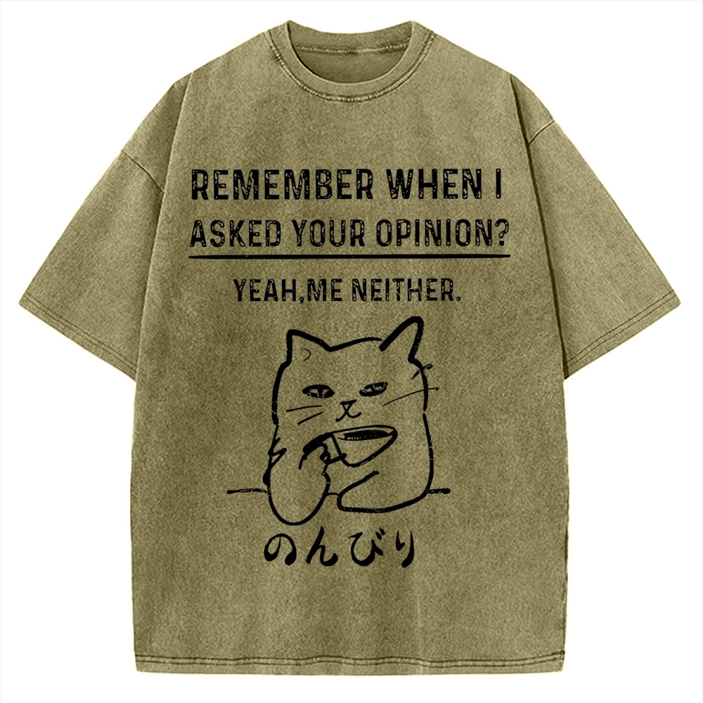 Cats Don't Accept Opinions Vintage Washed T-shirt