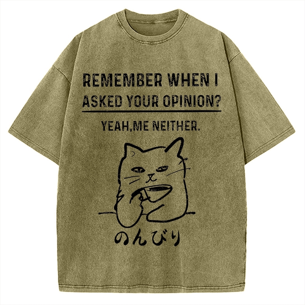 Cats Don't Accept Opinions Vintage Washed T-shirt