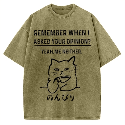 Cats Don't Accept Opinions Vintage Washed T-shirt
