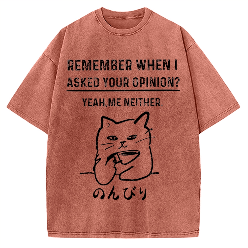 Cats Don't Accept Opinions Vintage Washed T-shirt