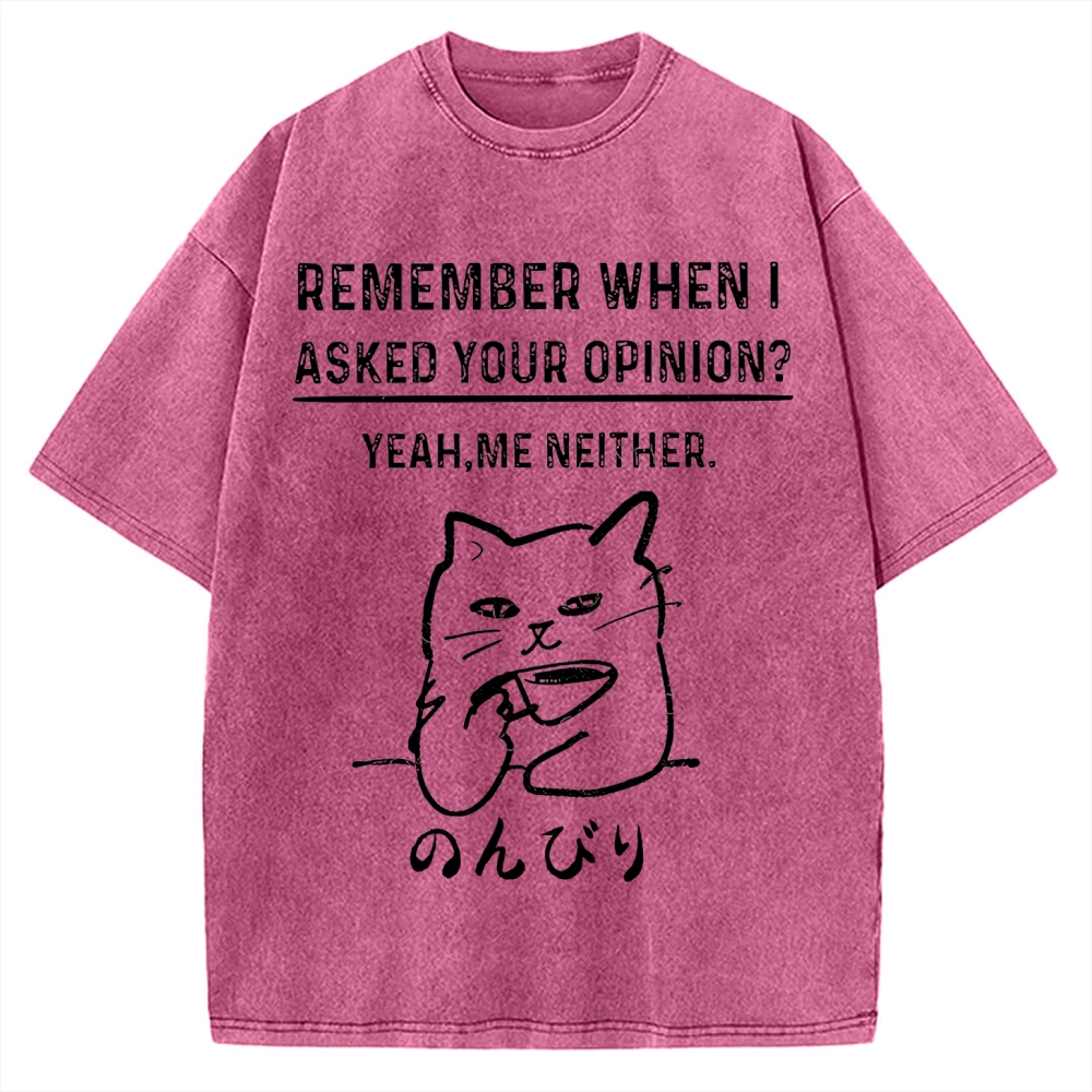 Cats Don't Accept Opinions Vintage Washed T-shirt
